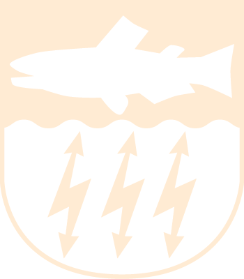 Muhos